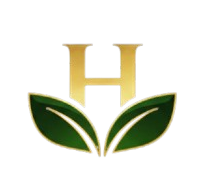 whatsapp image 2026 01 25 at 19.31.45 removebg preview